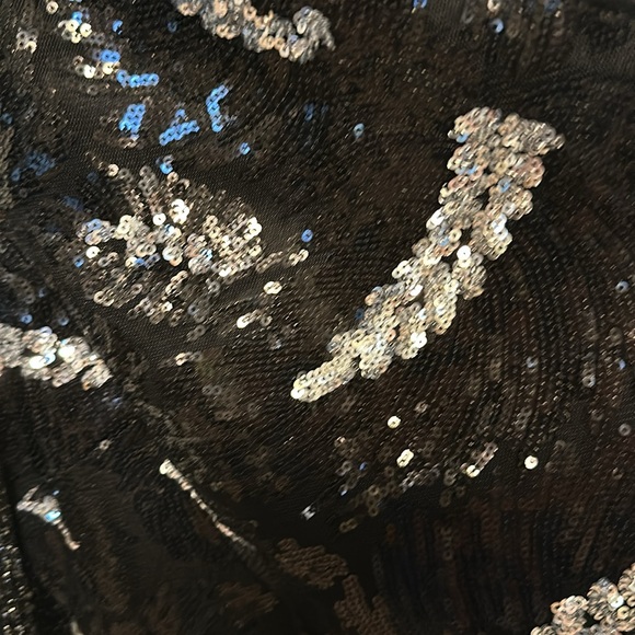 La Revue Nègre Feather Sequins Evening Gown, Flapper 1920’s inspired - Picture 8 of 12